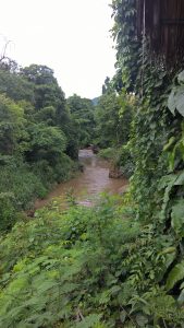 WP_20160801_16_10_23_Pro (4)